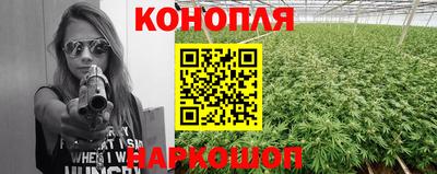 индика Конаково