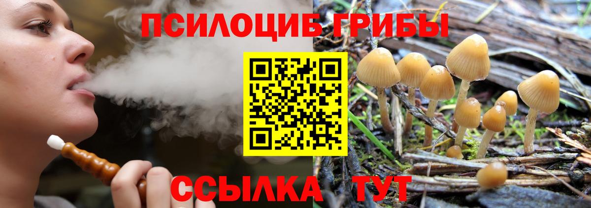 Псилоцибиновые грибы ЛСД  Вход с VPN  Галлюциногенные грибы Magic Shrooms  Кинешма 